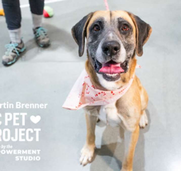 Photo of Martin Brenner