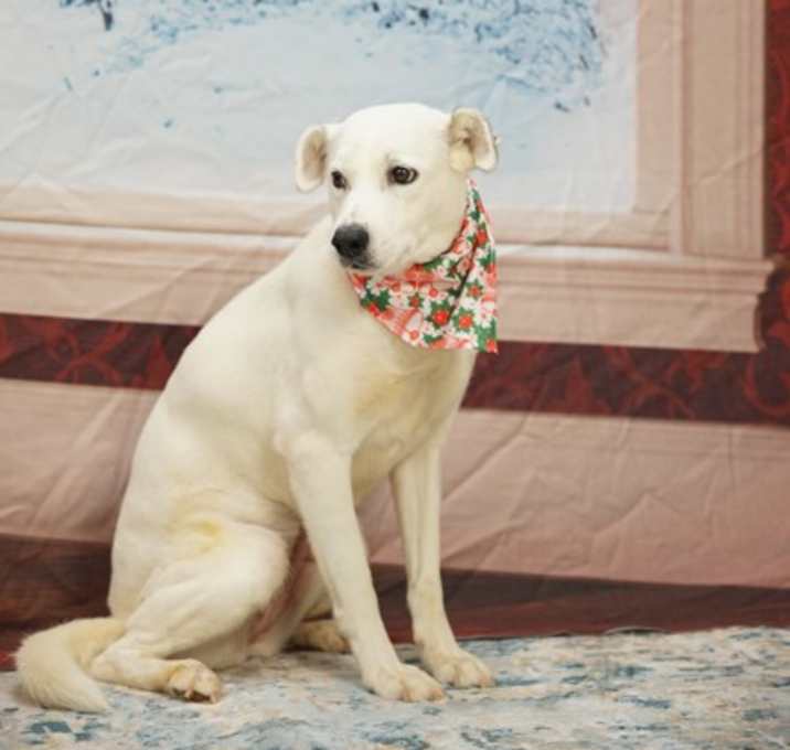 Photo of Miss Wiggles