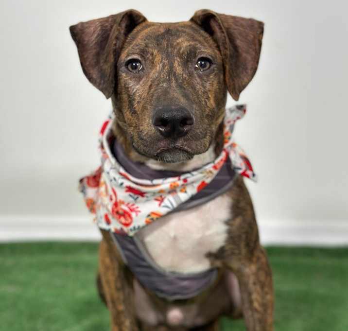 Photo of Willy Wonder