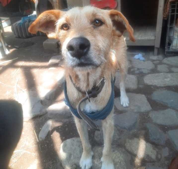 Photo of Ally McBeal