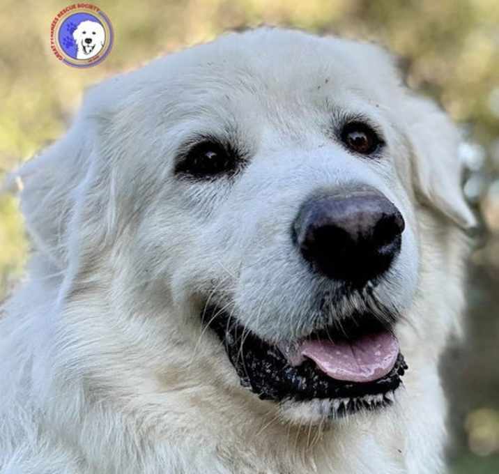 Photo of Sir Kingsley