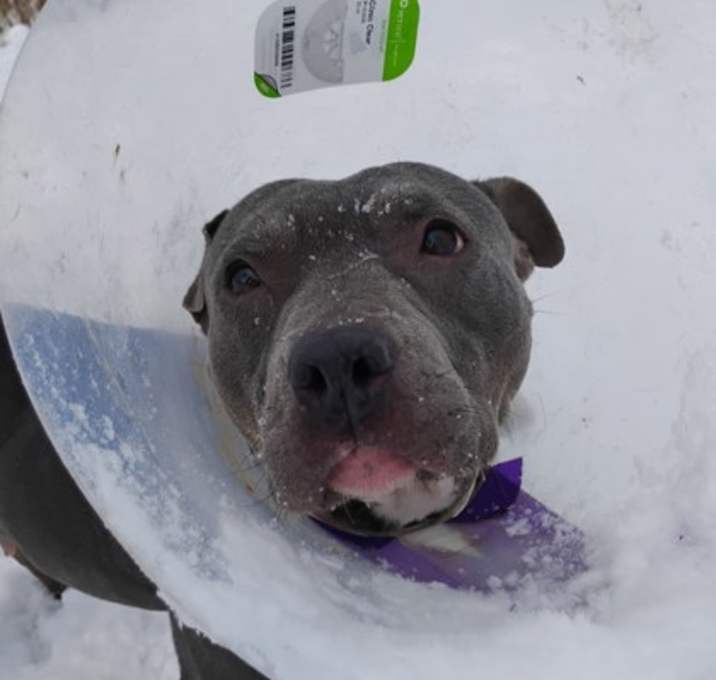 Photo of Twinkle Toes