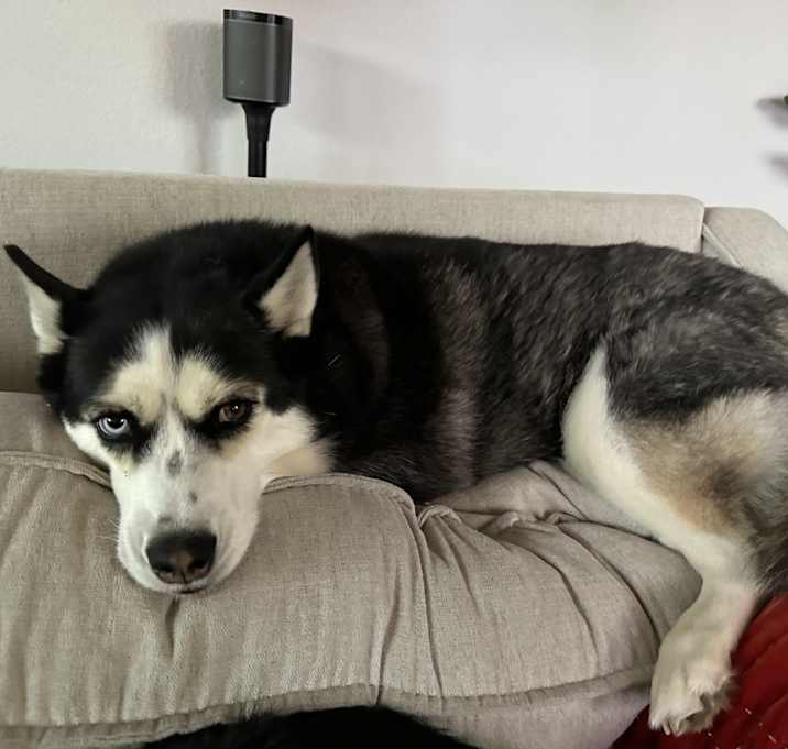 Photo of Chicago & Luna