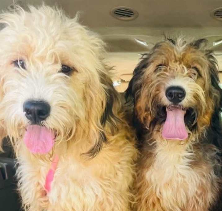 Photo of Kenzie & Kimber