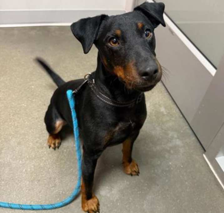 Photo of Jimmy Neutron