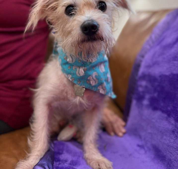 Photo of Ollie Cooper