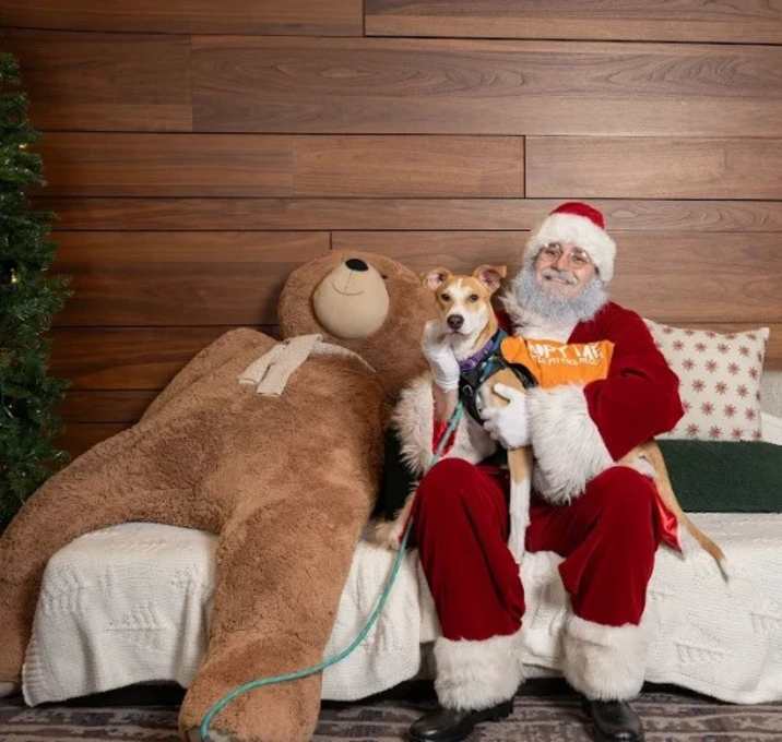 Photo of Lady Wears Her Heart on Her Nose
