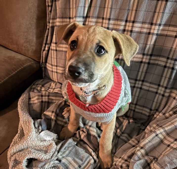 Photo of Captain Crunch