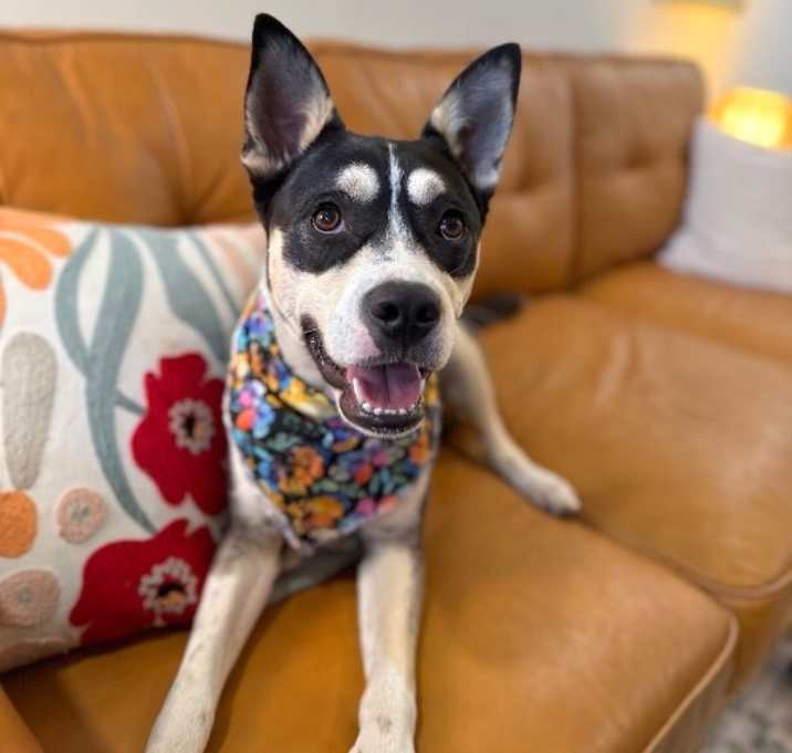 Photo of Bonnie Wiggles