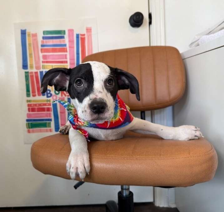 Photo of Daniel Adorable