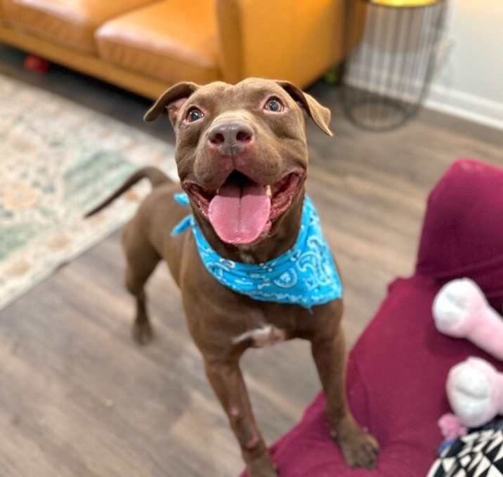 Photo of Ernie Sploots for You
