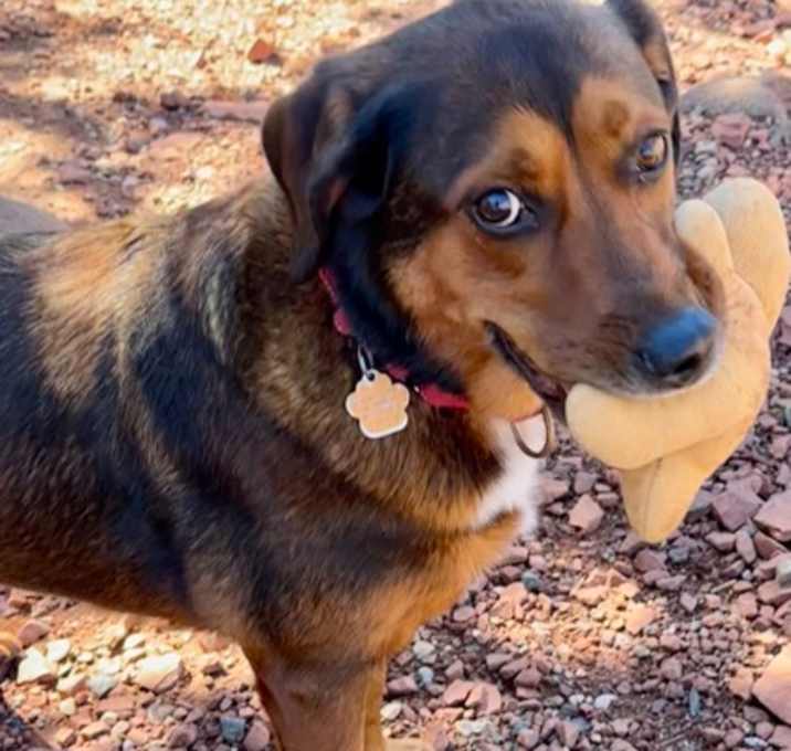 Photo of Aurora *Sponsored*