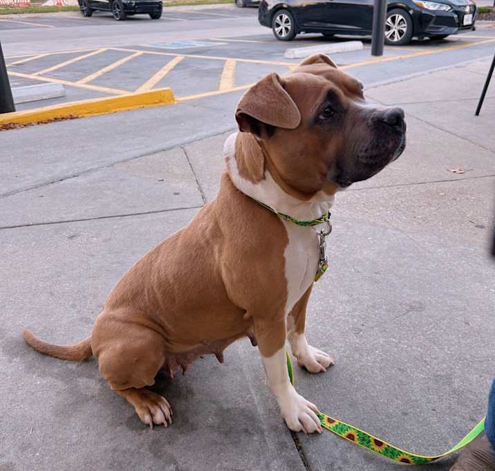 Photo of Abracadabra