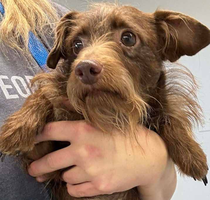 Photo of Cooper $500