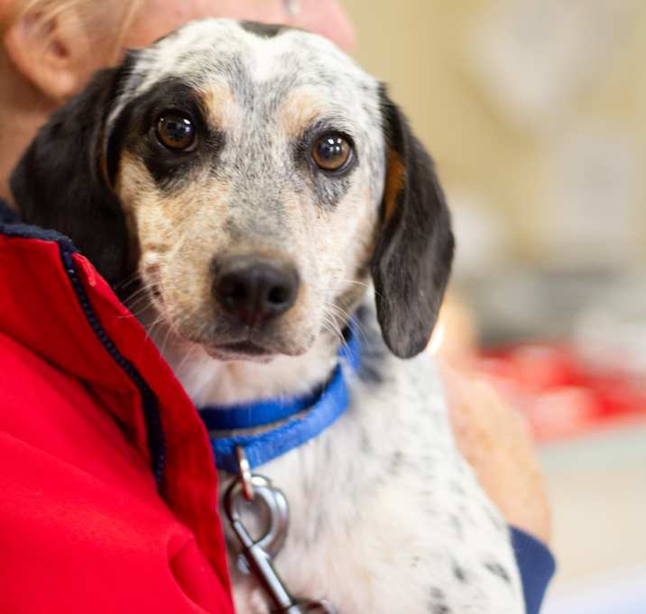 Photo of Charlie Brown A10