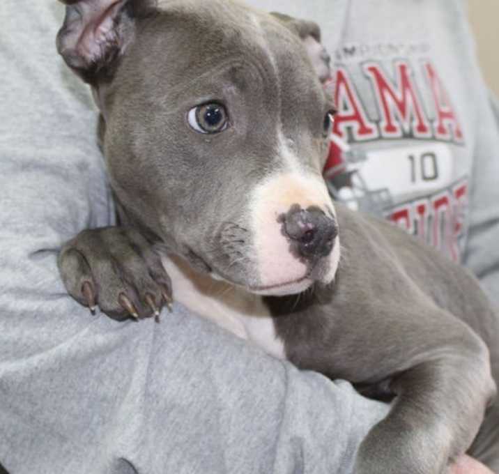 Photo of Yukon 42925