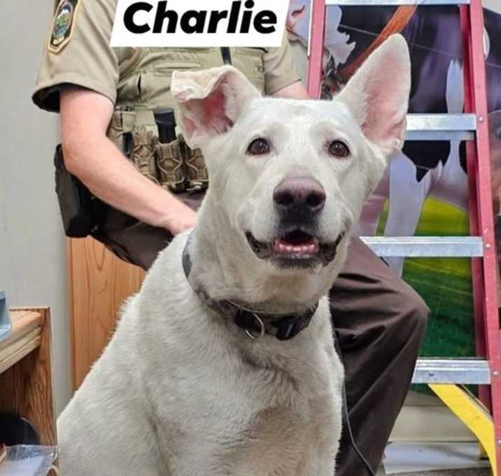 Photo of Charlie