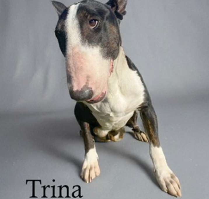 Photo of Trina
