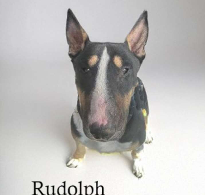 Photo of Rudolph "Rudy"