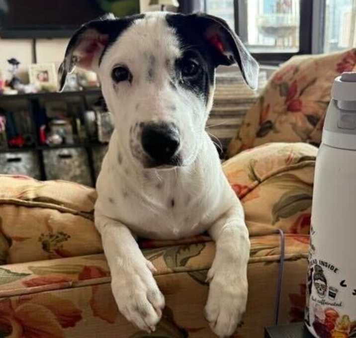 Photo of Jesper Bratt