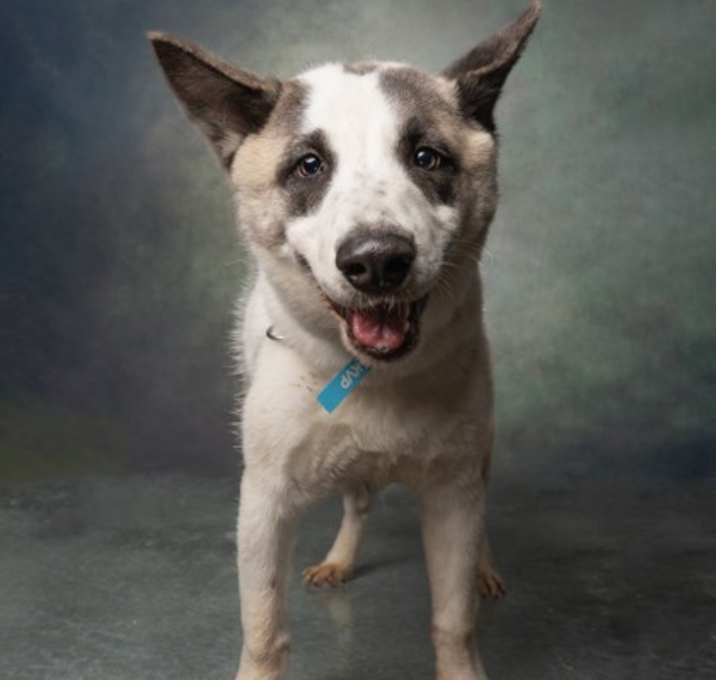 Photo of Max Montero