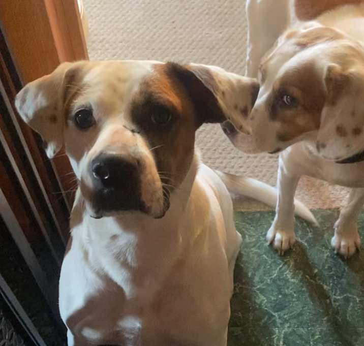 Photo of Biggie and Smalls