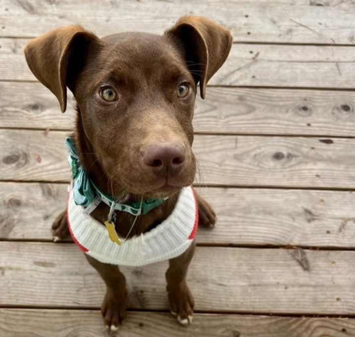 Photo of Mr. Snickers