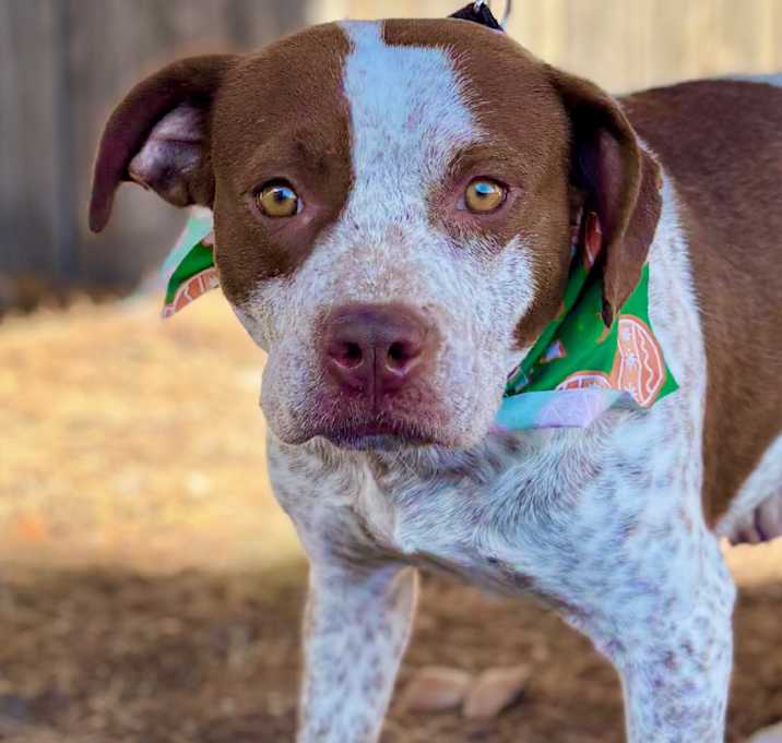 Photo of FWT Princess