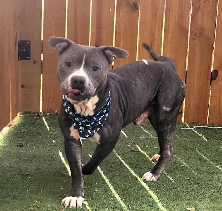 Photo of Bubba Gump JuM