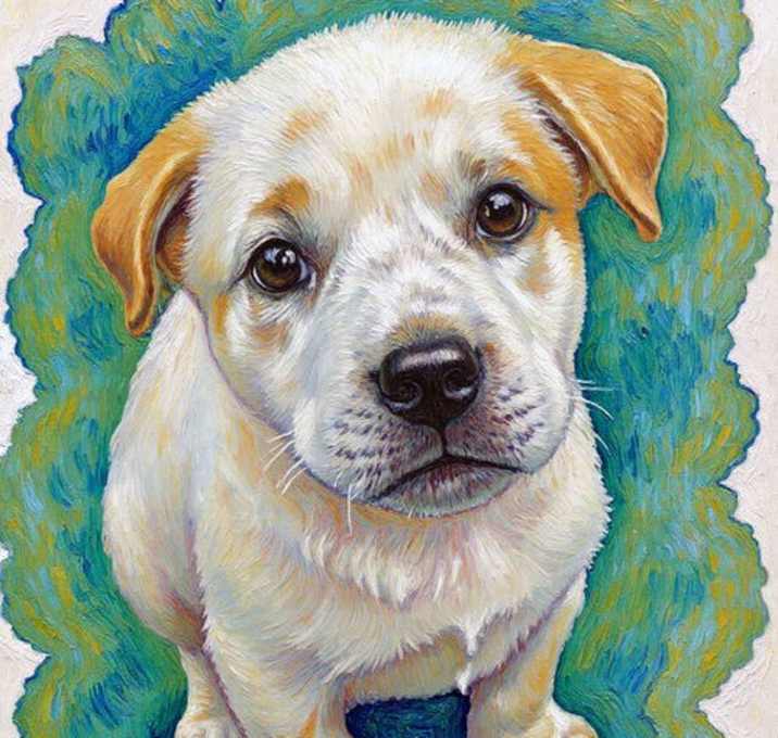 Photo of Betty White