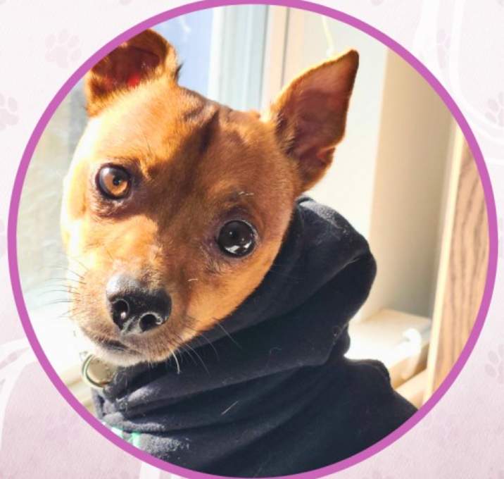 Photo of Snowdrift Yule Lad