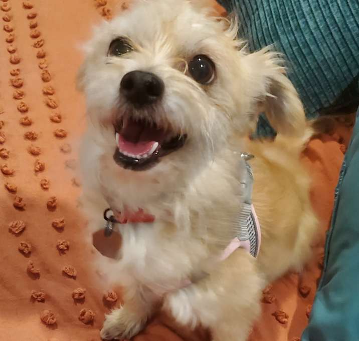 Photo of LITTLE SUZIE