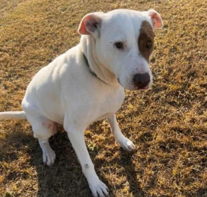 Photo of Betty White