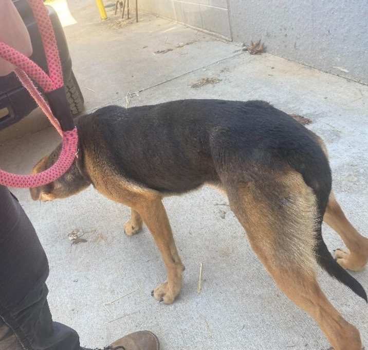 Photo of 032425 - Ellie