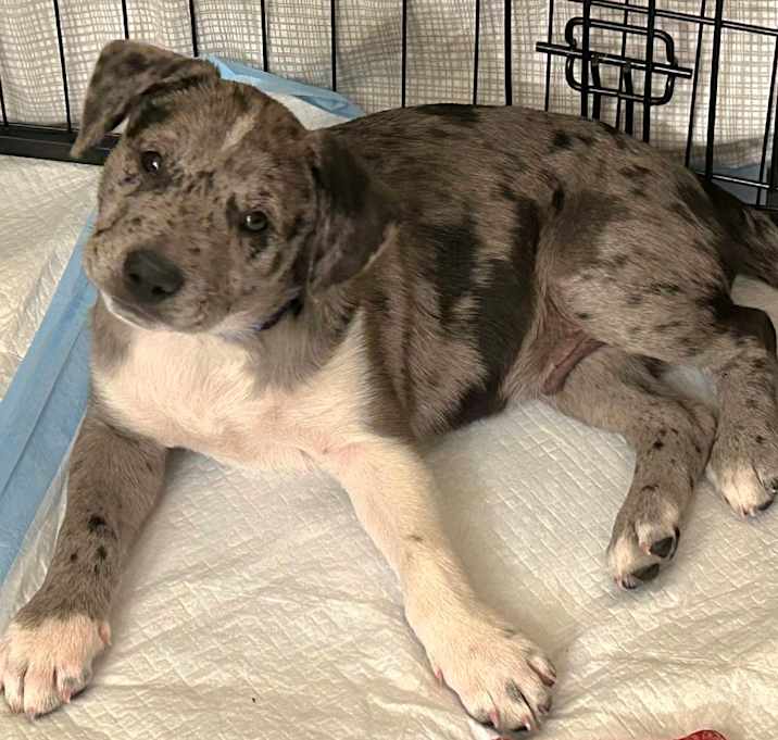 Photo of Waylon $475