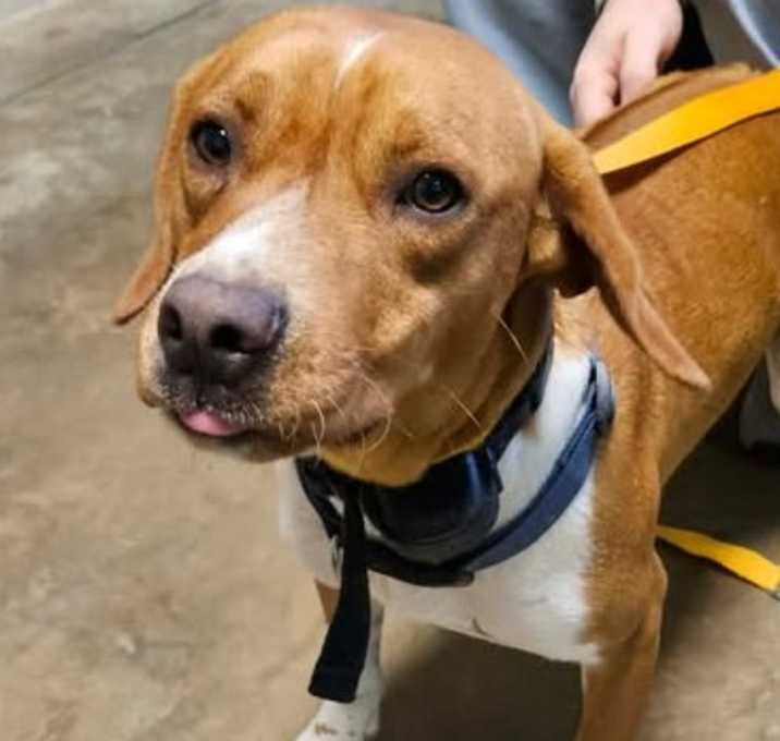 Photo of 251205K037 - Red Fred