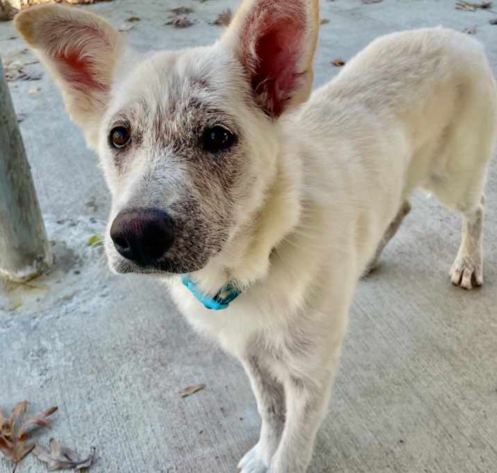 Photo of Masala 25-1680