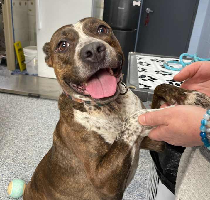 Photo of Bella Swan 25-1761