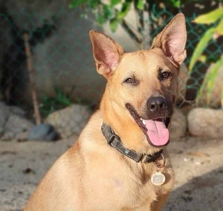 Photo of Ken aka Jack