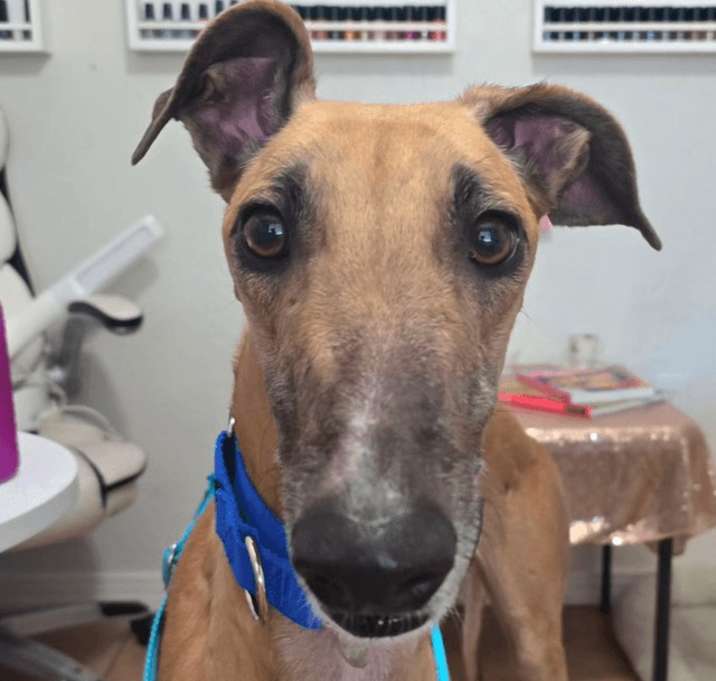 Photo of FF Buffalo Bill