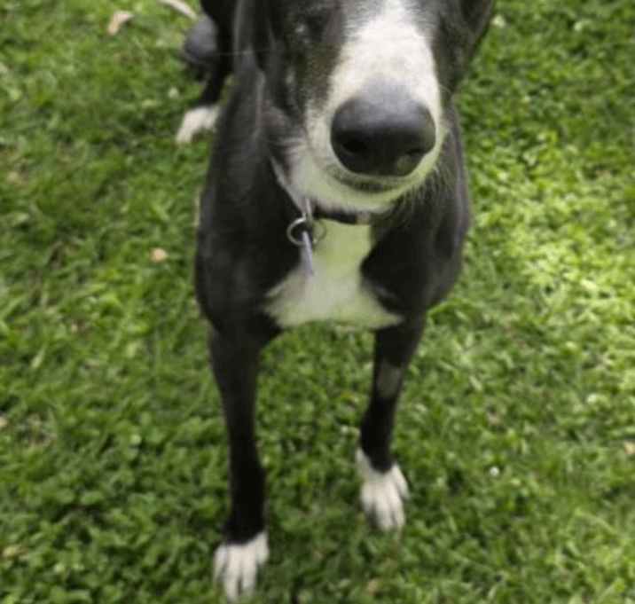 Photo of Kaths Chance (Kath)