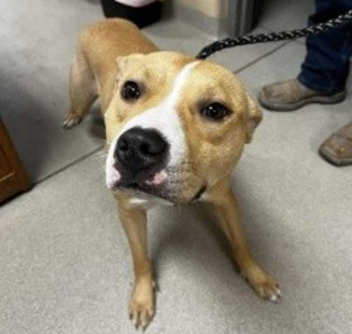 Photo of Journey 34057