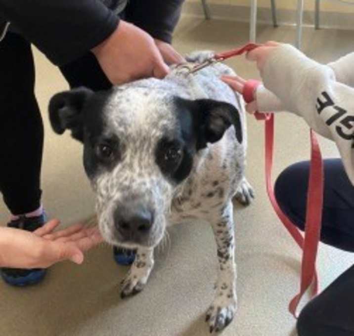 Photo of Remus Lupin 122035