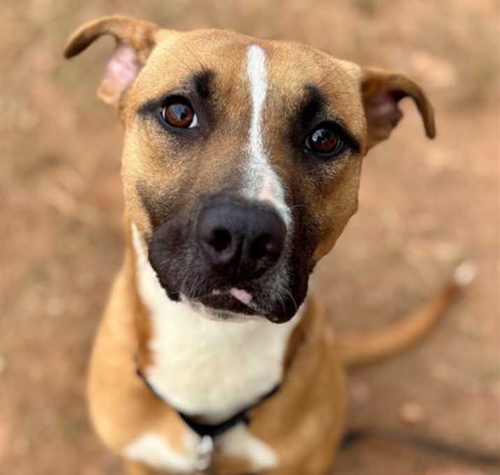 Photo of PEPPERMINT PATTY