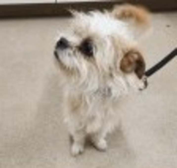 Photo of Scrumptious