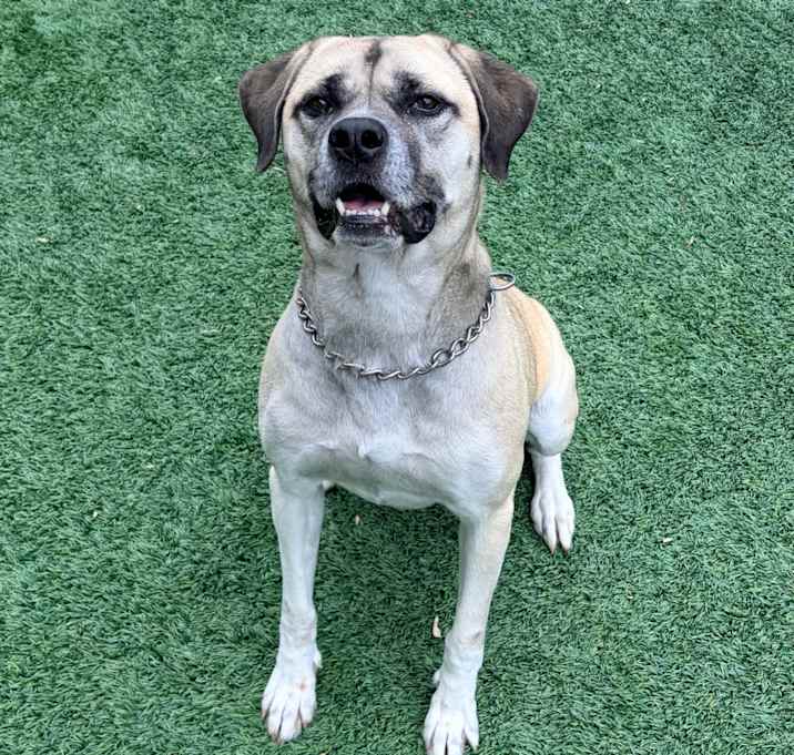 Photo of Sweet Baby Ray