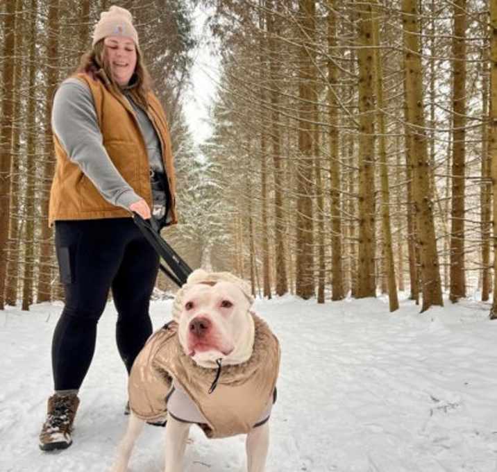 Photo of Dara II (foster)