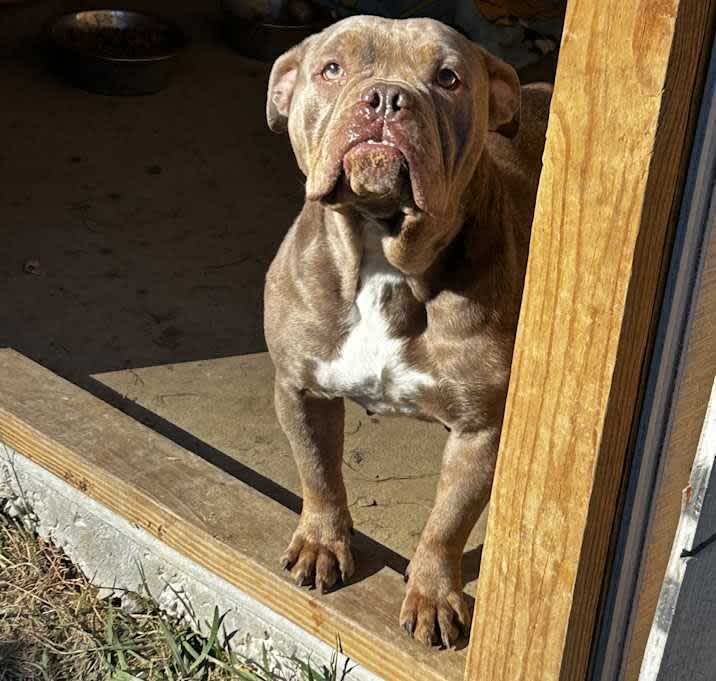 Photo of Mocha Latte