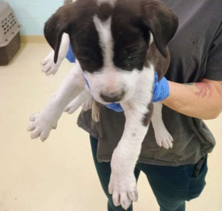 Photo of Dallas OTCL3 12/12/25