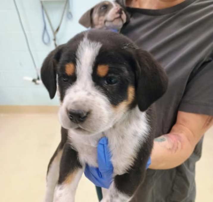 Photo of Denton ODCL3 12/12/25